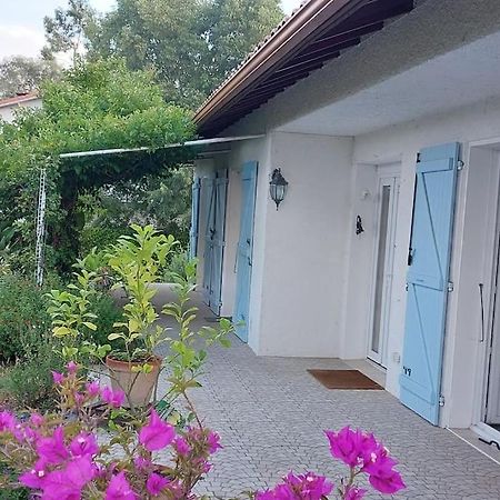 Villa De Charme Avec Piscine Saint-Jory Exterior foto